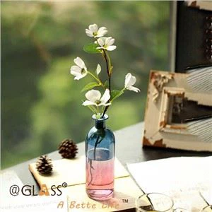 Vása bláth ildaite